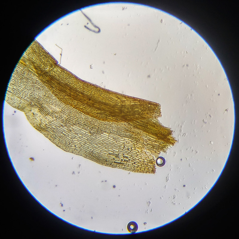 IMG 20250614 112041 HDR