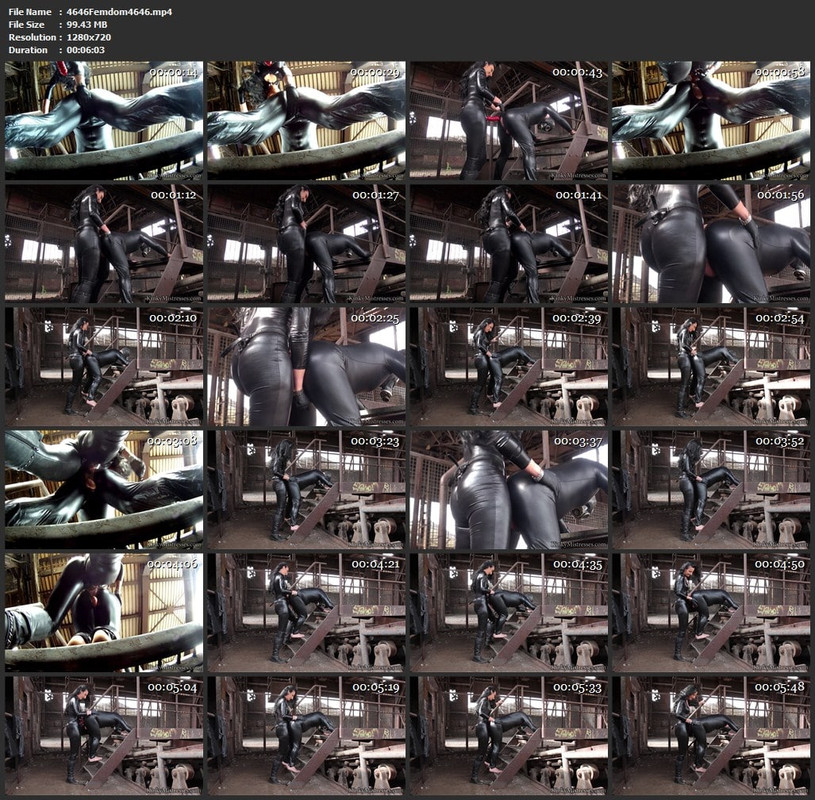 4646Femdom4646.mp4