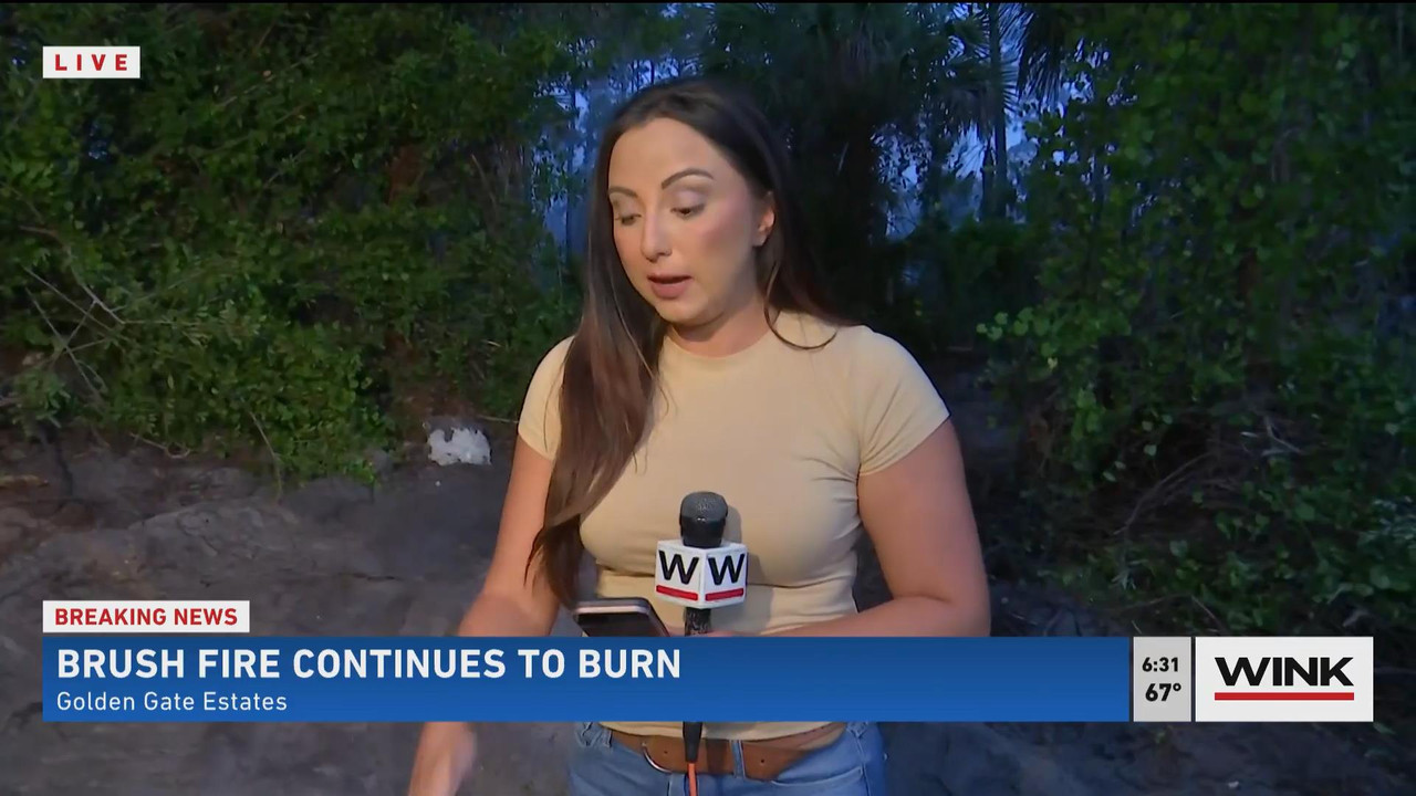 05.23 - 11.00.00 - WINK News @ 6 00AM Sunday. Local news, sports and ....ts_snapshot_31.20_[2021.05.