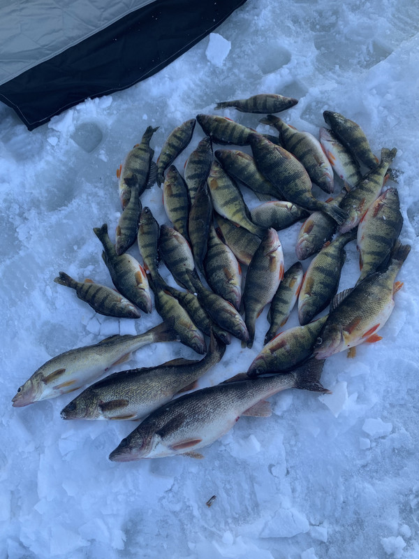 3BA3D1C6-4BEB-4A8D-8285-B7ED25D33BA8