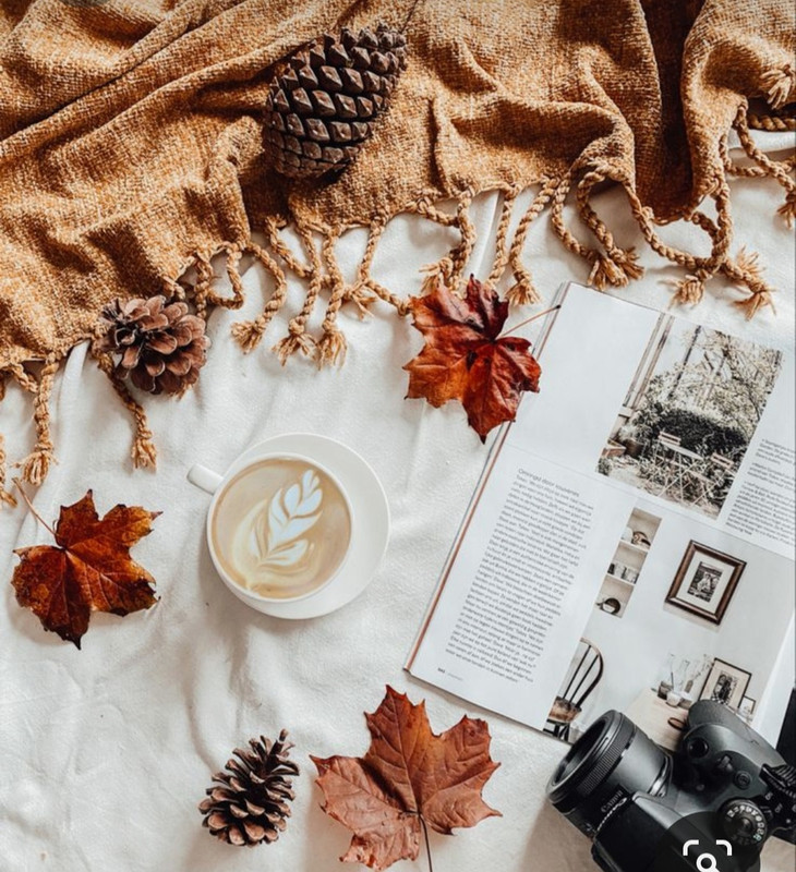 Screenshot_20231008_213732_Pinterest