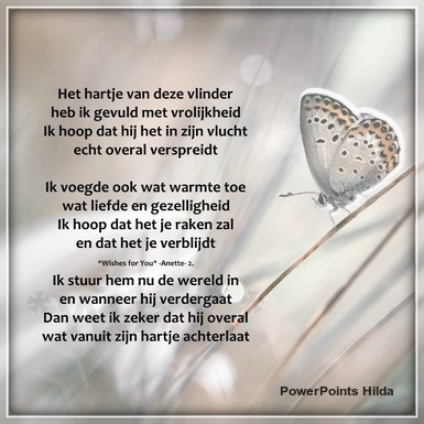 Het-hartje-van-deze-vlinder-08-01-2021