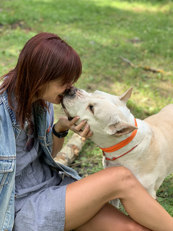 FAB0C1DF-95C3-494D-80F1-F6C115B71D0C