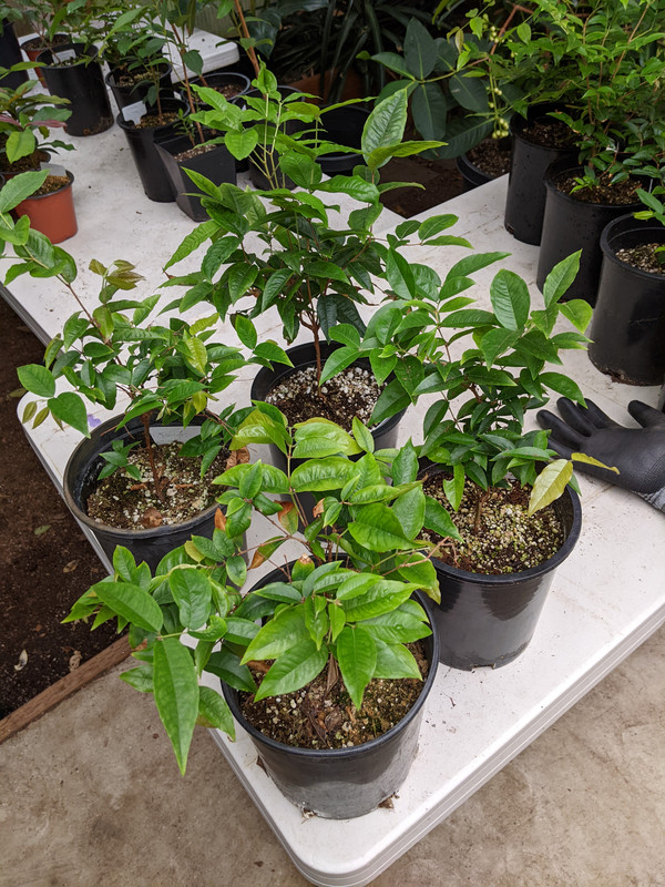 PXL_20230617_185125639