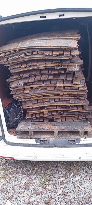 IMG_20240601_104705_055