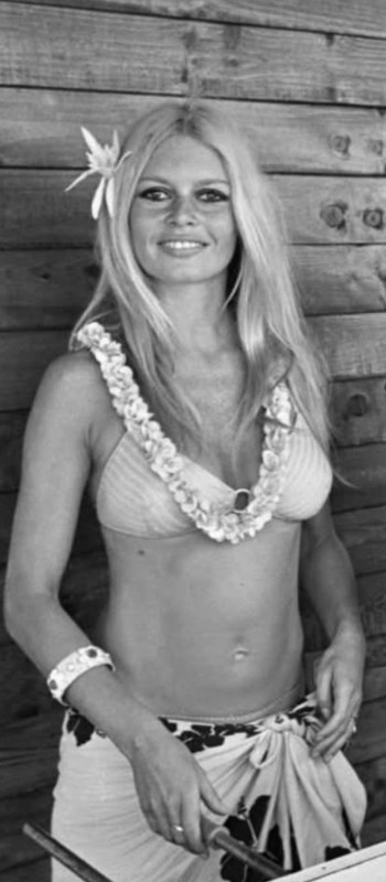 2F8ABE9F-7EB8-4FDC-9AF1-1BC225344C47