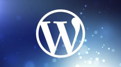 The Mini WordPress Theme Development Course for Beginners