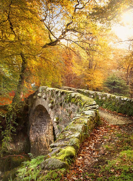 greenbridge.jpg