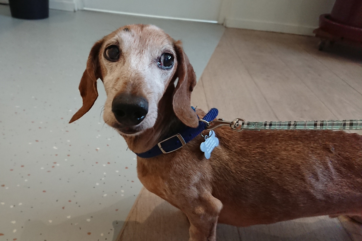 [Image: DSC-3595.jpg]