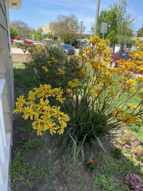 1D3FA196-4F91-489A-B600-35F84698AB99