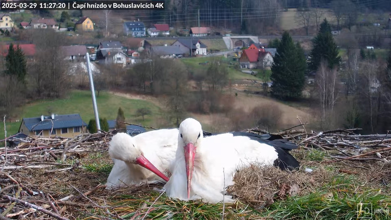 Tiešraidē no uzņēmuma KARA stārķa skursteņa Bohuslavicē pie Trutnovas 9-11-42 screenshot