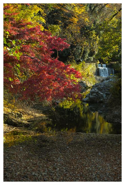 Cover image for Mount Takao Hike