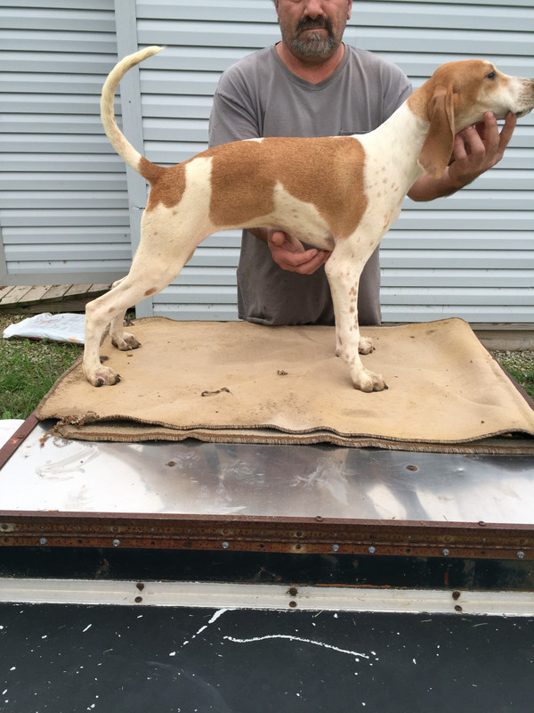 9DA97FEA-B240-4630-8373-F53F6115947E