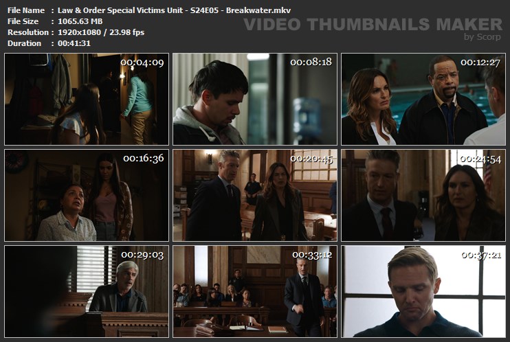 Law & Order Special Victims Unit - S24E05 - Breakwater.mkv