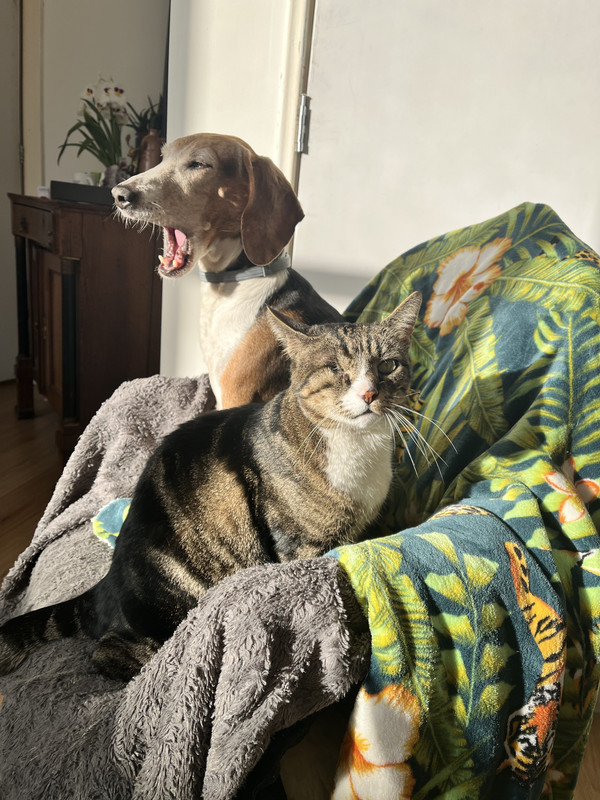 DBFA86DE-2404-44F9-AB14-2DA4E6AD7314