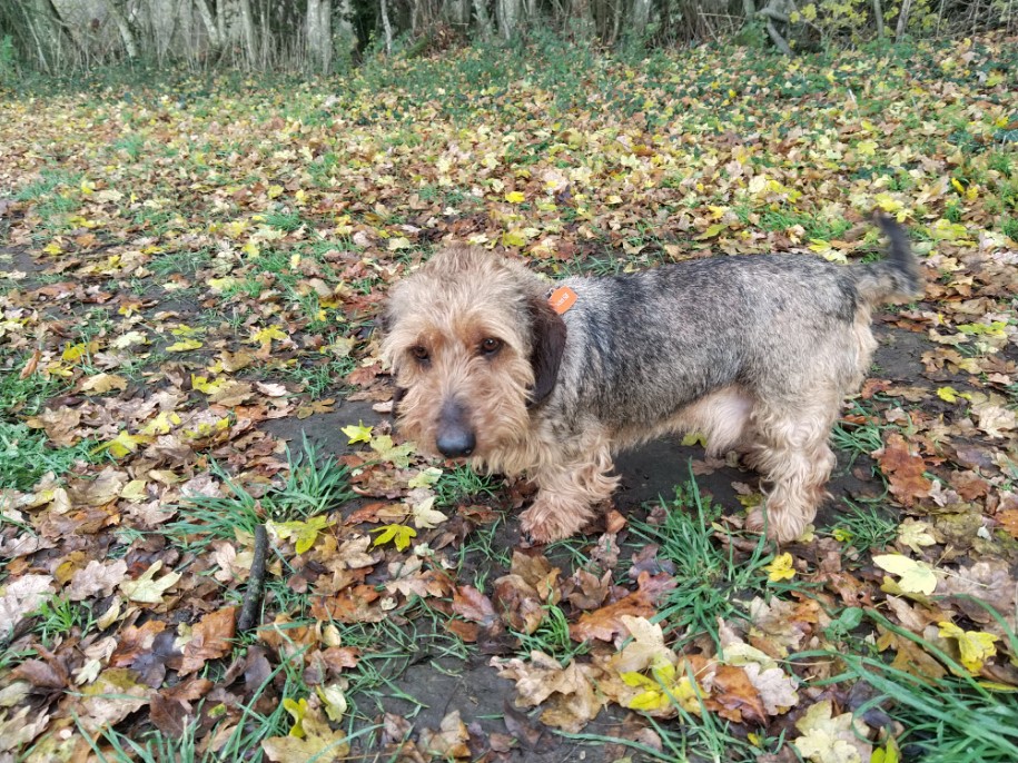 [Image: image000001-13.jpg]