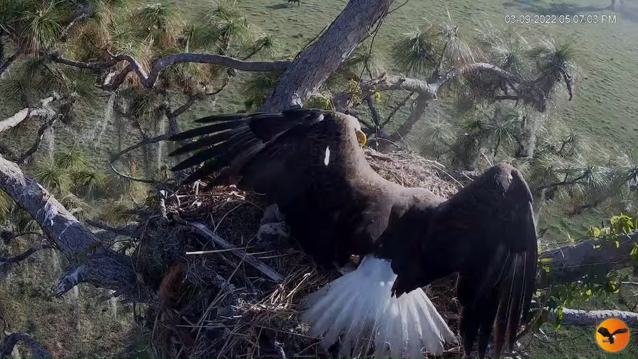 EC 4K Overhead Cam 9-35-15 screenshot