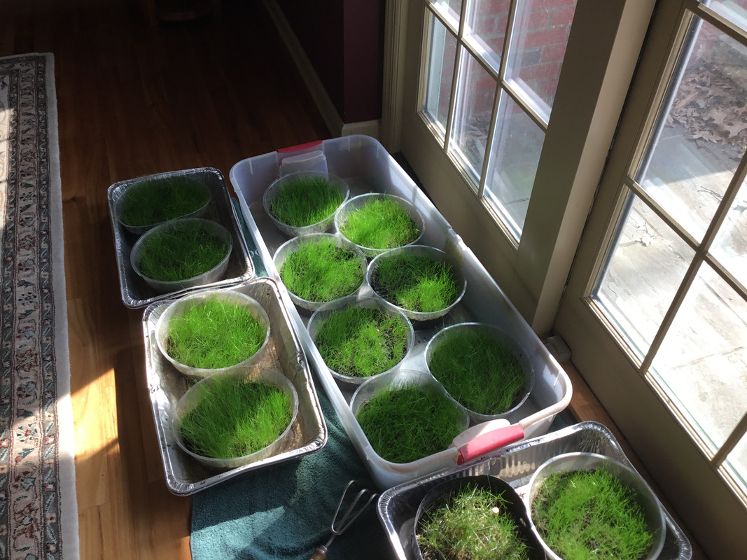 5312F109-6992-48EB-8A42-7A96334D592F