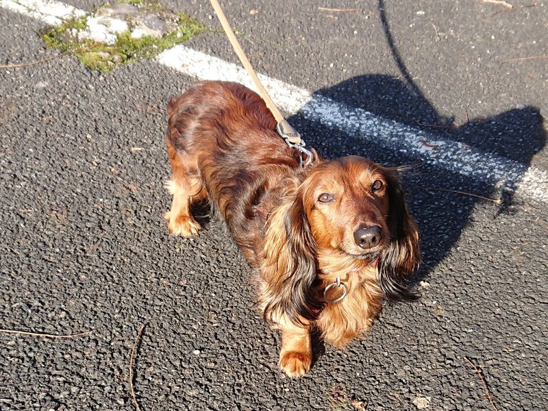 [Image: DSC-2023-12-27-1.jpg]