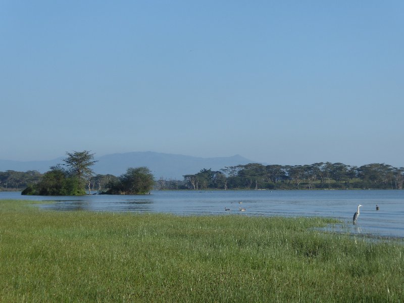 Un poquito de Kenia: Lagos Naivasha y Nakuru, Samburu y Masai Mara - Blogs of Kenya - PARQUE NACIONAL DE LAGO NAIVASHA (14)