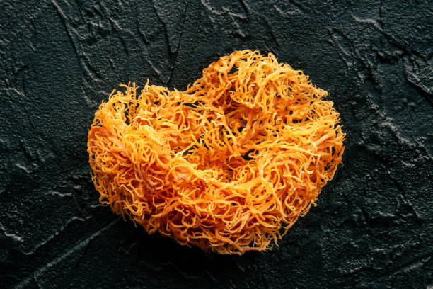 sea moss supplement