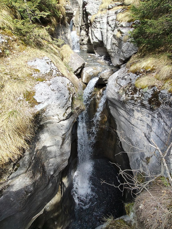 https://i.postimg.cc/W1vjk9XR/IMG20250321120119.jpg