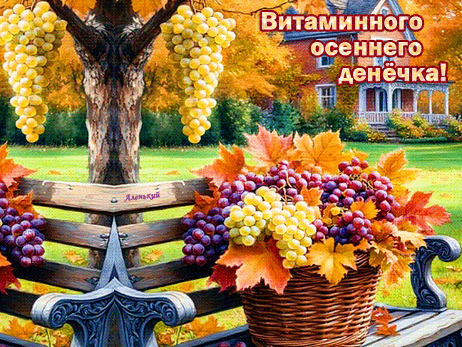 Витаминного осеннего денёчка
