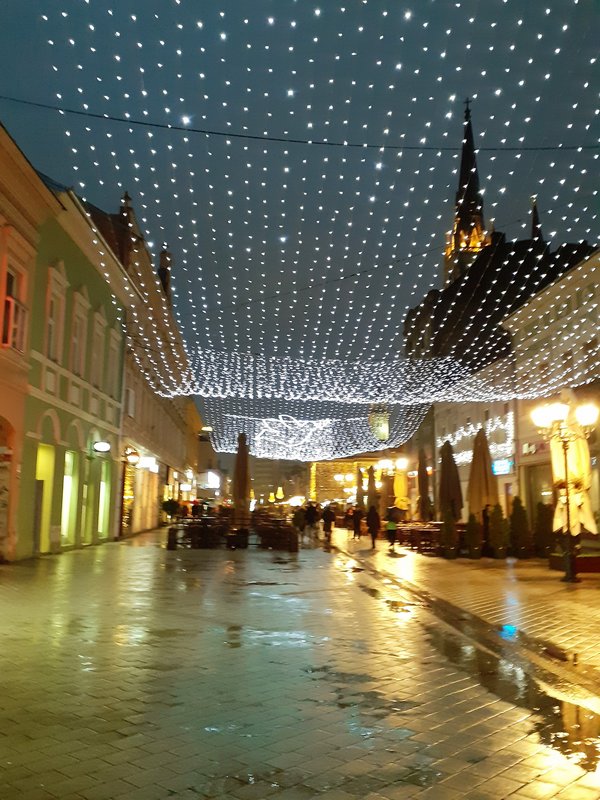 Slika