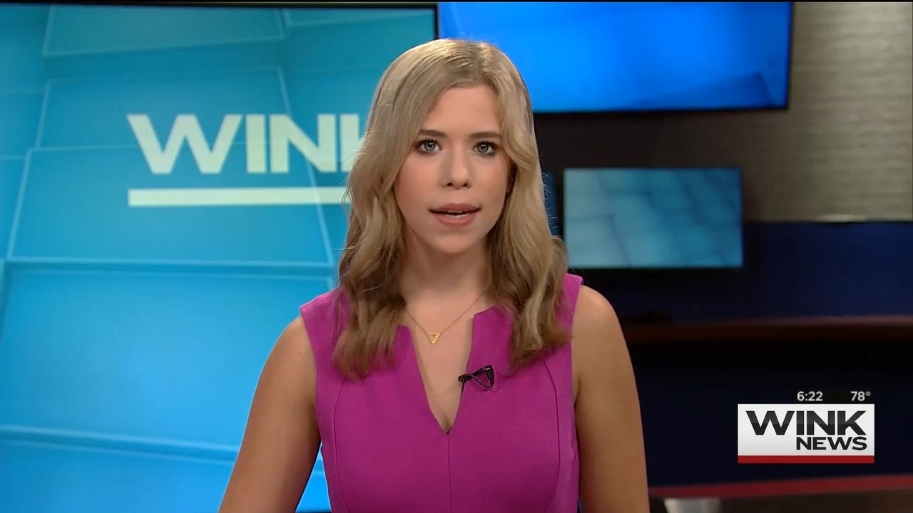 08.09 - 11.00.00 - WINK News @ 6 00AM Sunday..ts_snapshot_00.24.44.788