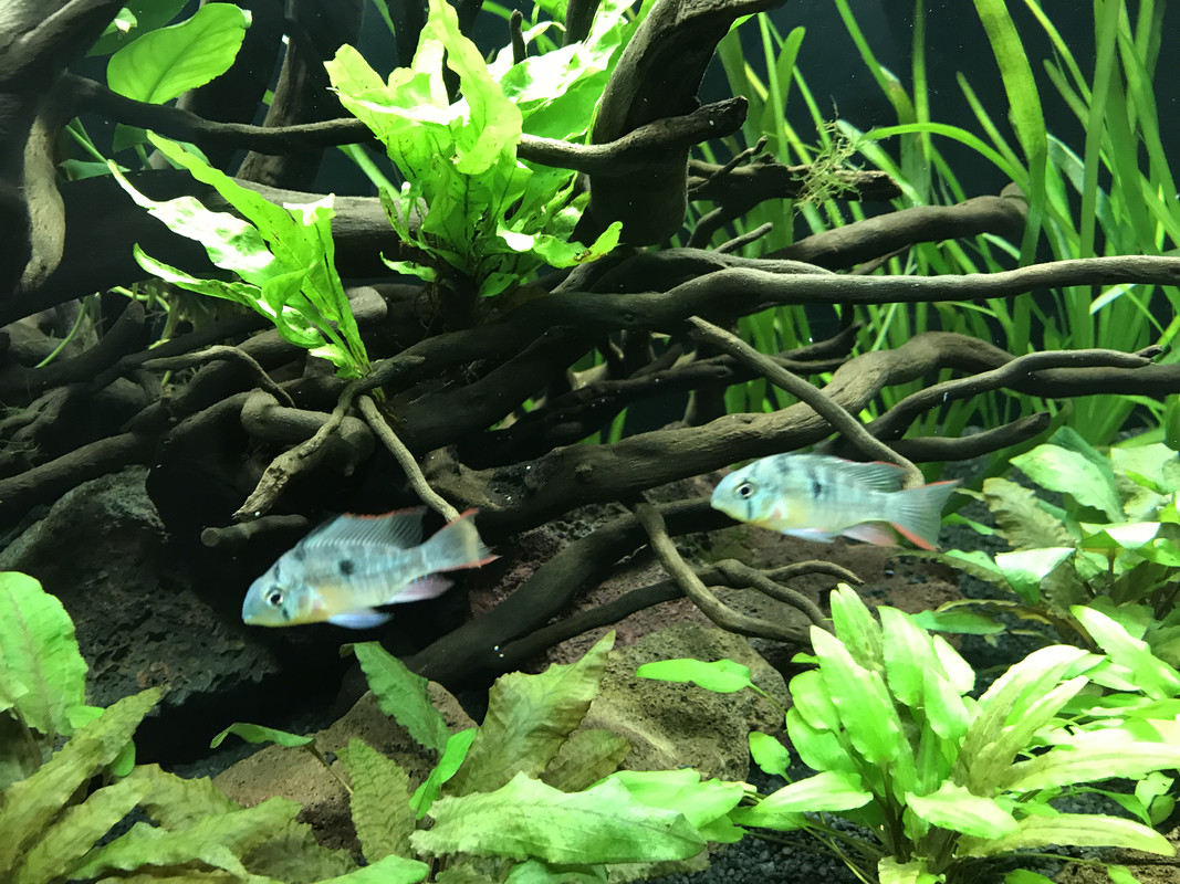 0A896B17-EE17-4769-AC69-BE9F675CBB9B