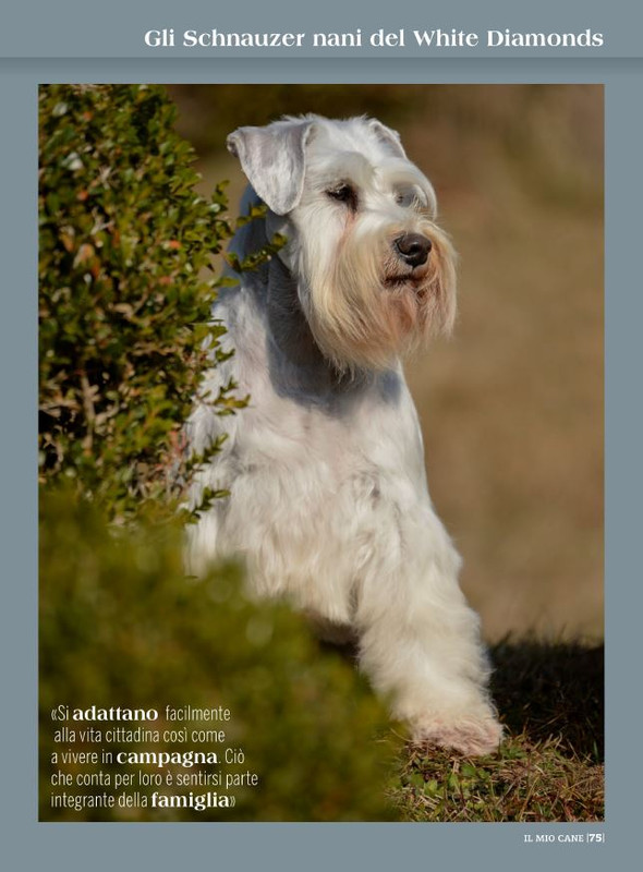 Il M C Ott 2022 (11)