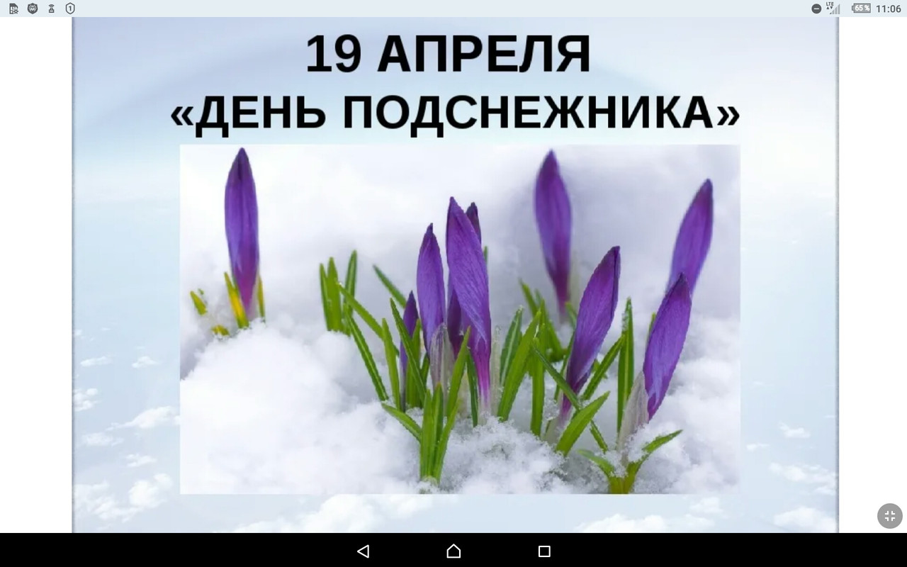 Screenshot_2022-04-19-11-06-34