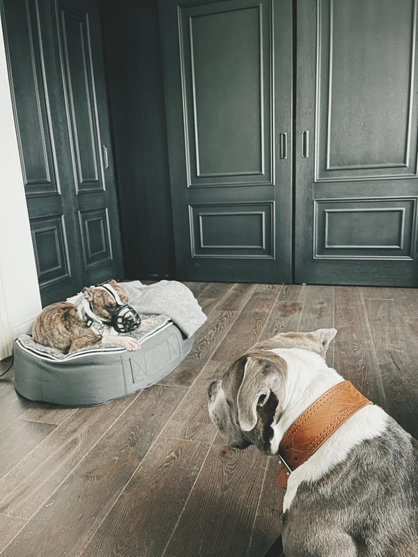 A10BBA34-6CFB-4CDE-96F5-0BC73BD48DCF