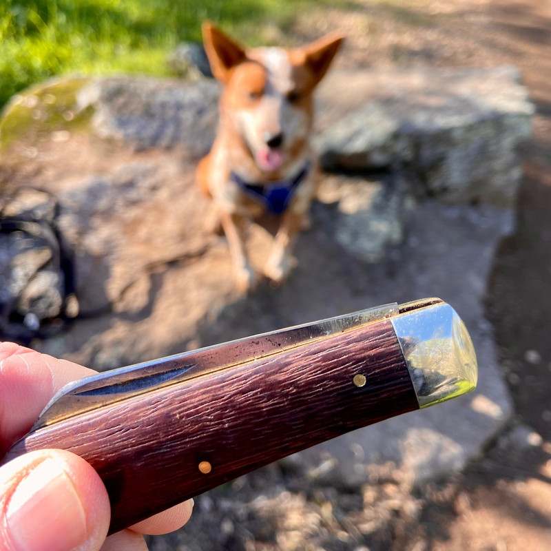 00FA51D1-9168-4F22-AA2B-D56231C99FE2