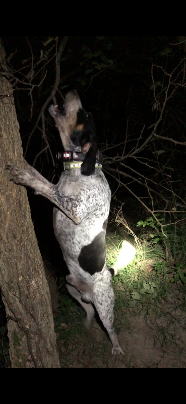 0DB7CD5B-665A-49F1-B28F-BAA3AB25828E