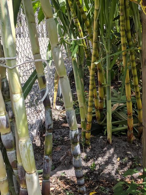 [Image: IMG-20190612-114306.jpg]