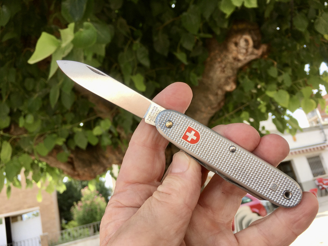 FFC89D60-86D7-4994-B523-C2A25A7B7A63