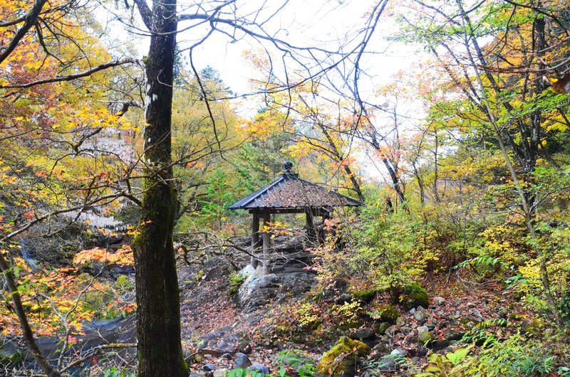 Abismo Kanmangafuchi-13-11-2024 - Japón y sus Pueblos-2024 (48)
