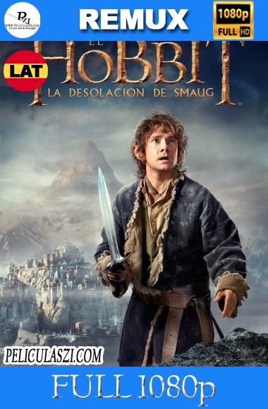 El Hobbit: La desolación de Smaug (2013) EXTENDED Full HD REMUX 1080p Dual-Latino