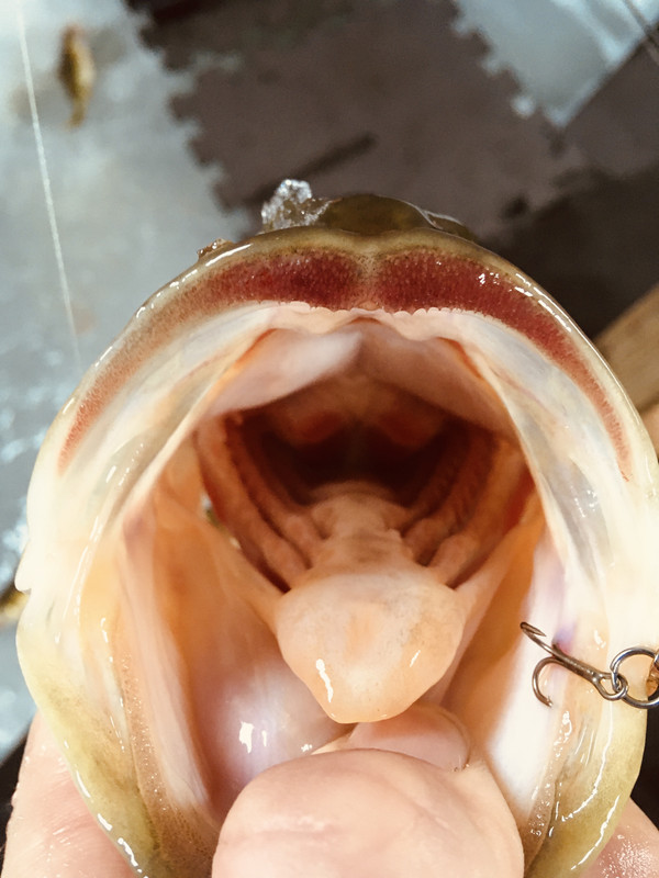 B94DE6D6-5818-4696-BF74-EACBC13E5583