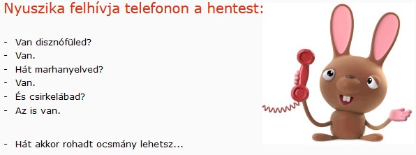 https://i.postimg.cc/W1z6pM6Y/nyuszika-felhivja-ahentest.jpg