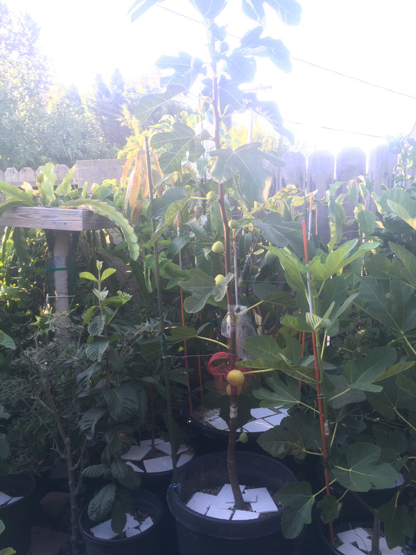 78AD2E32-18D2-491E-90AB-97CB5CBC7F4B