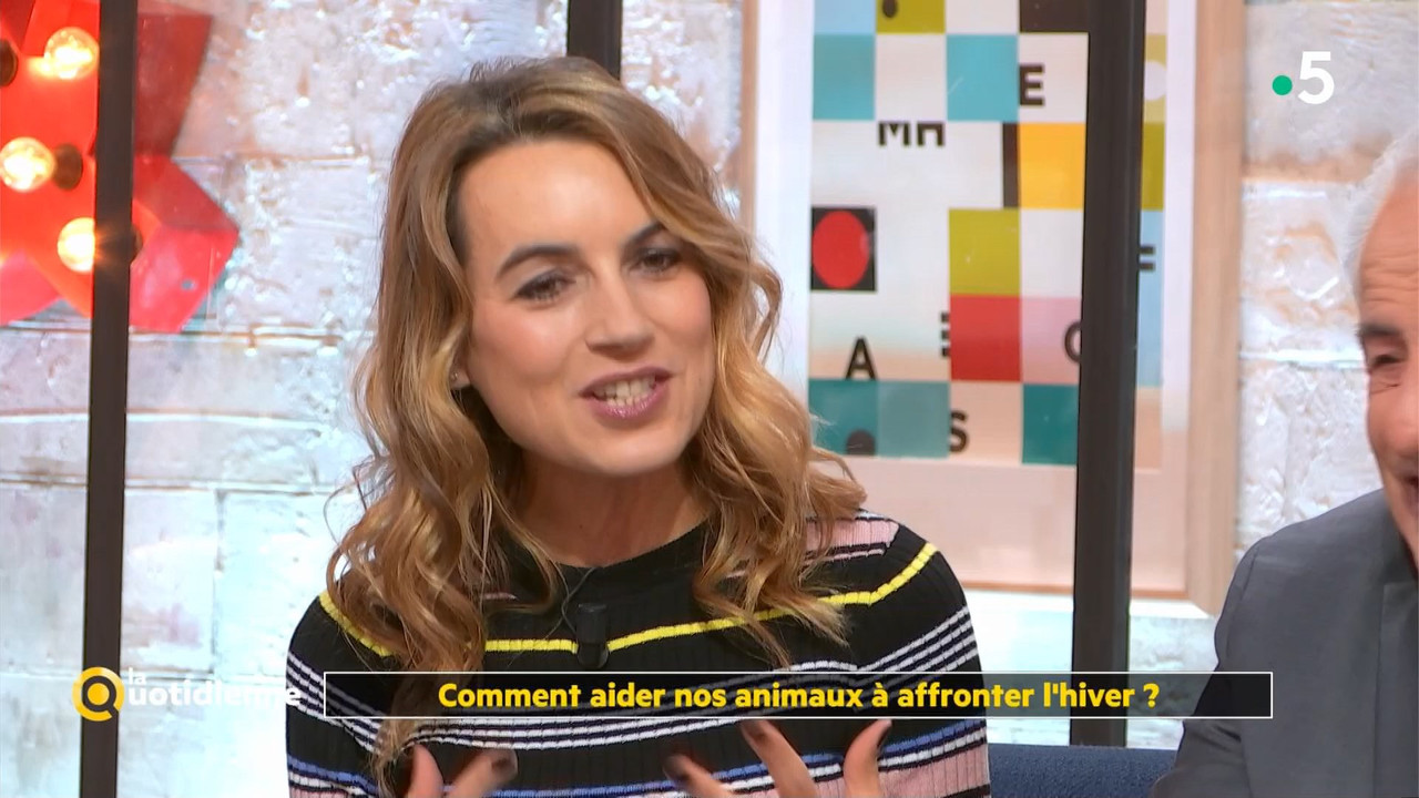 08 January - 10.45.00 - La quotidienne. Consommation solidaire e