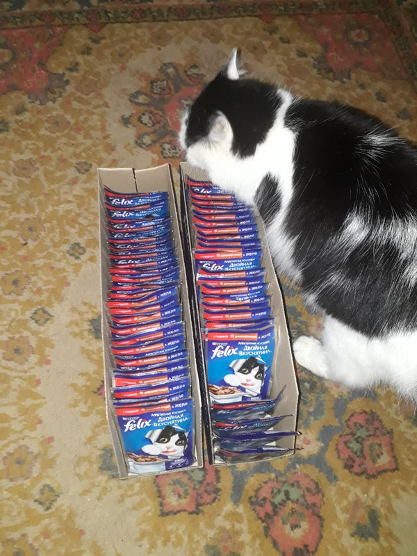 изображение_viber_2020-01-21_15-56-43