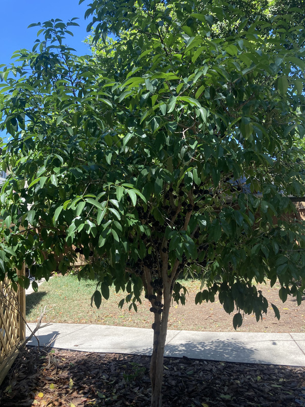 003EE8A8-DA13-4C35-A1E8-7F5F67D9B9F7