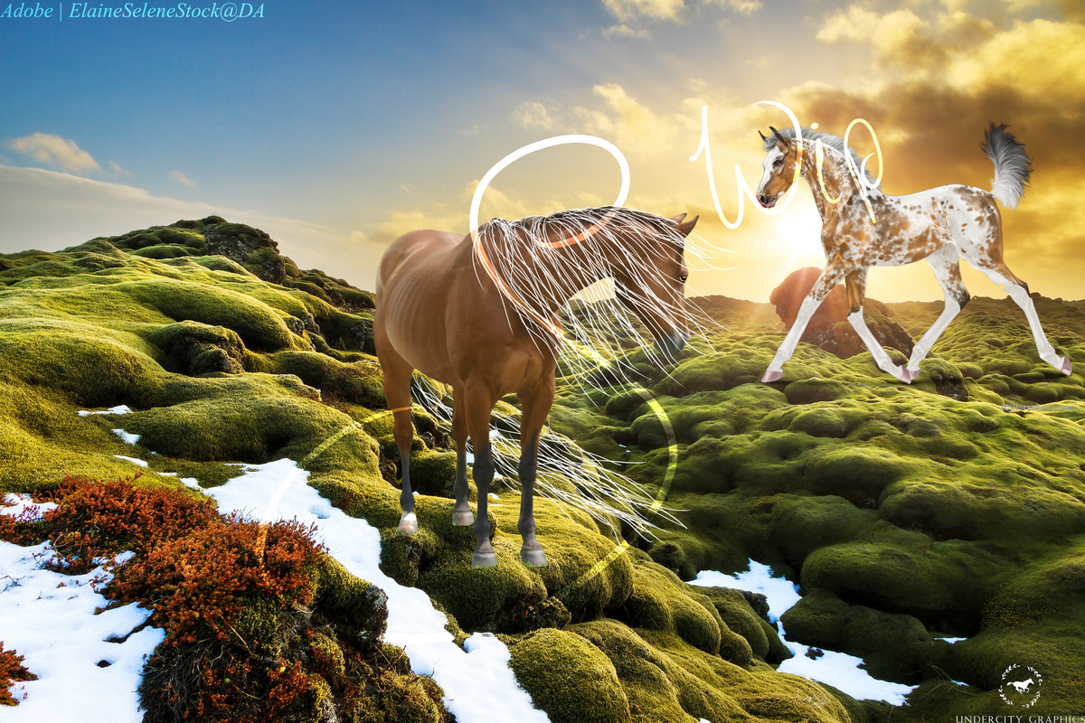 Adobe Stock 164135616 copy — Postimages