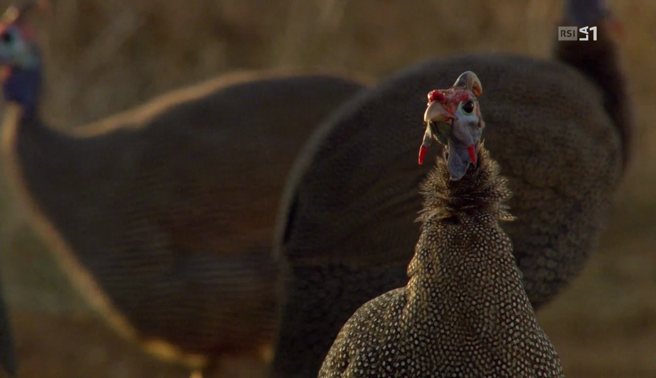 vlcsnap-2016-12-12-12h05m53s644