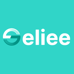 Transforming Your Digital Presence with Seliee: The Future of Online Business Management