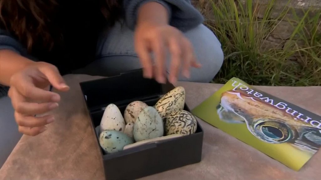 [Image: zf320gyts0ci.jpg]