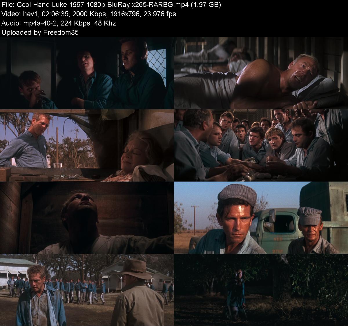 Cool-Hand-Luke-1967-1080p-Blu-Ray-x265-R